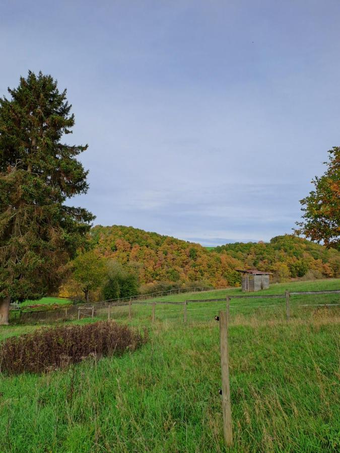 Landhaus Eifel Demerath Eksteriør billede
