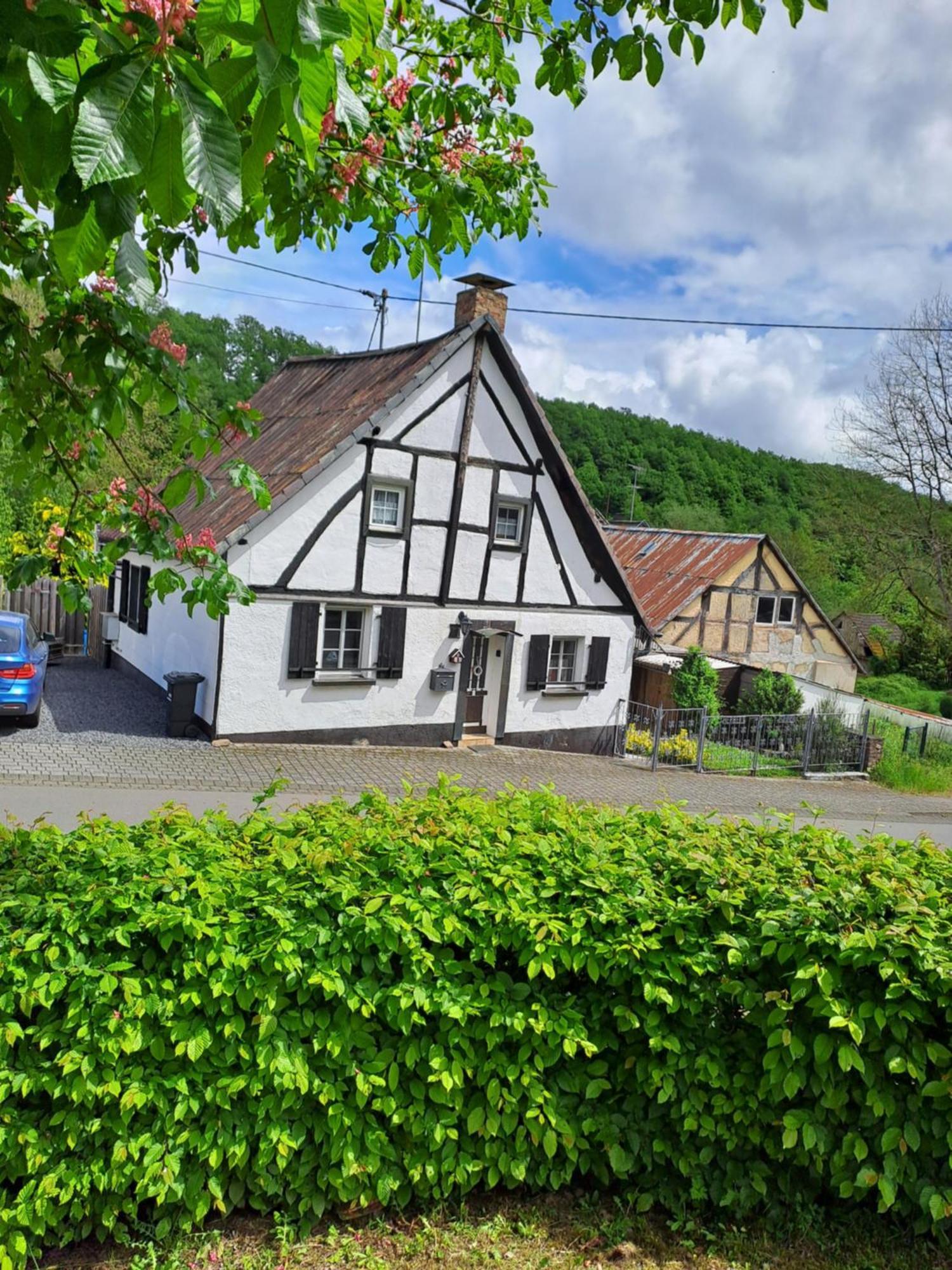 Landhaus Eifel Demerath Eksteriør billede